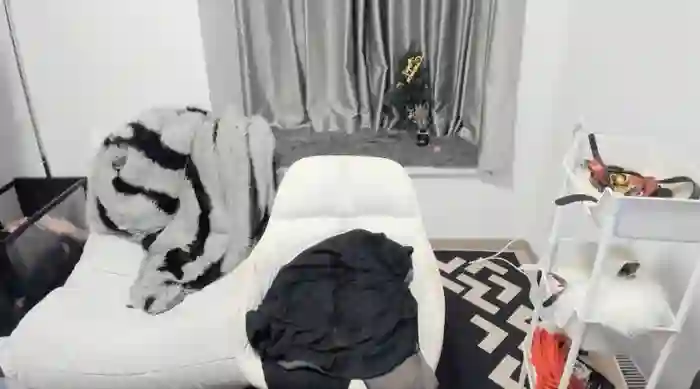 bbtt544