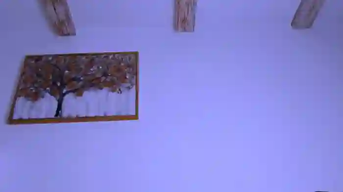 Moonamour