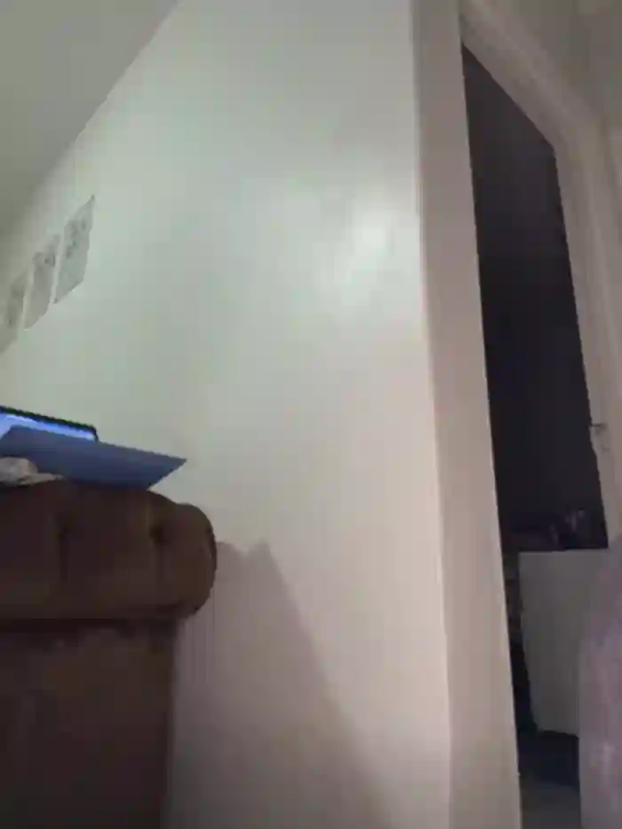 StupidNaturalPhatBooty_