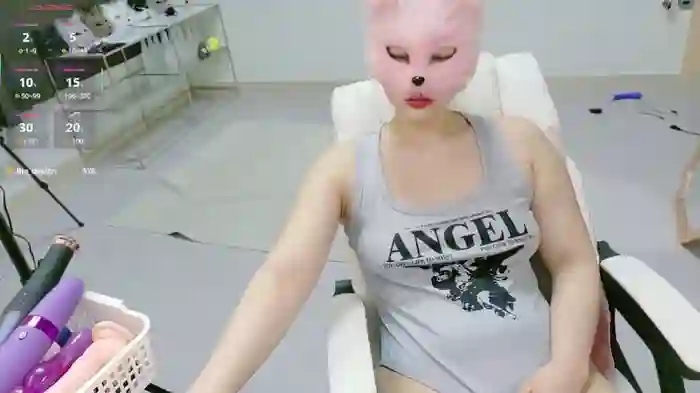 Kor_Cat