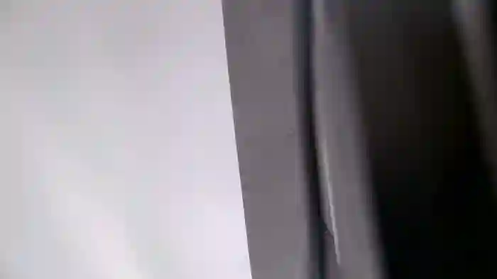 katt008