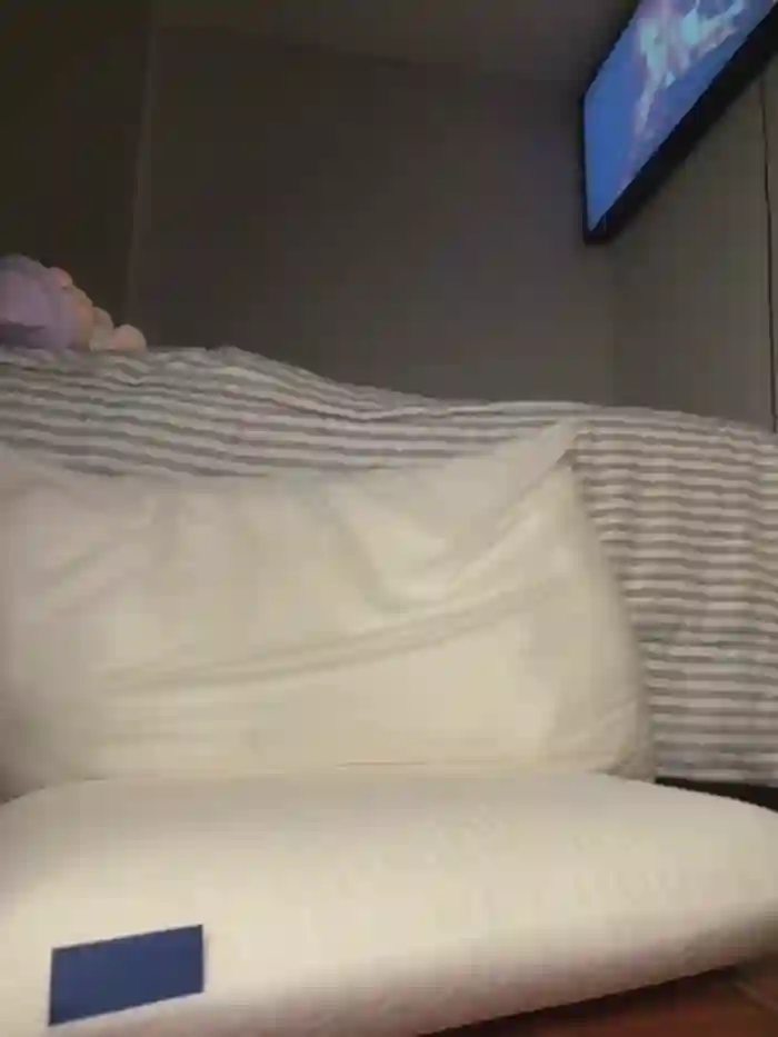 kittyfresita