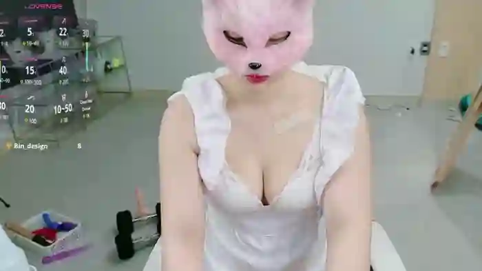 Kor_Cat