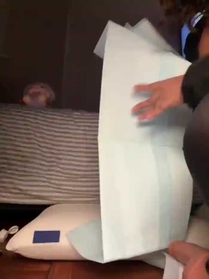 kittyfresita