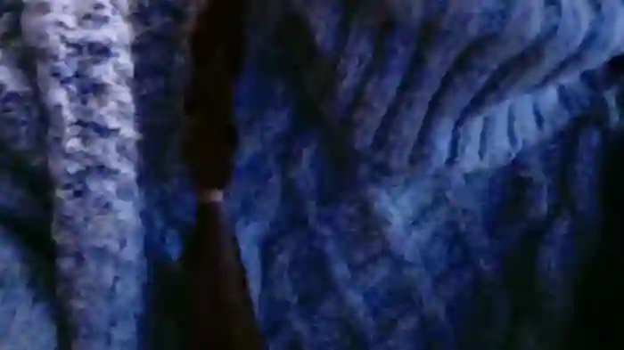 Naachan_