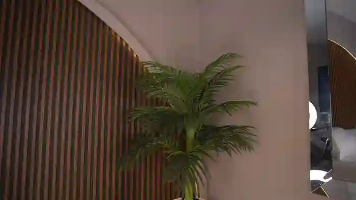 Dakota_Lee
