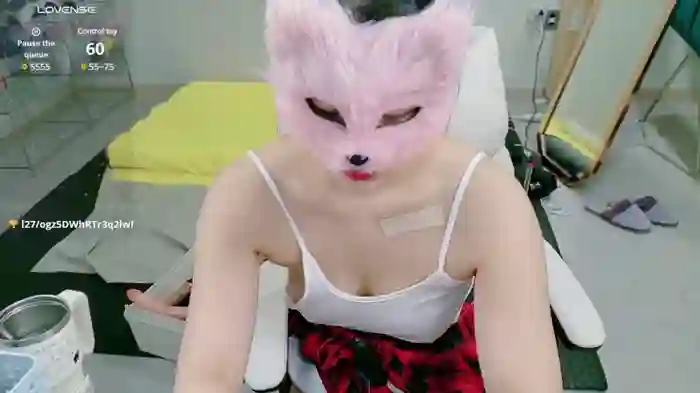 Kor_Cat