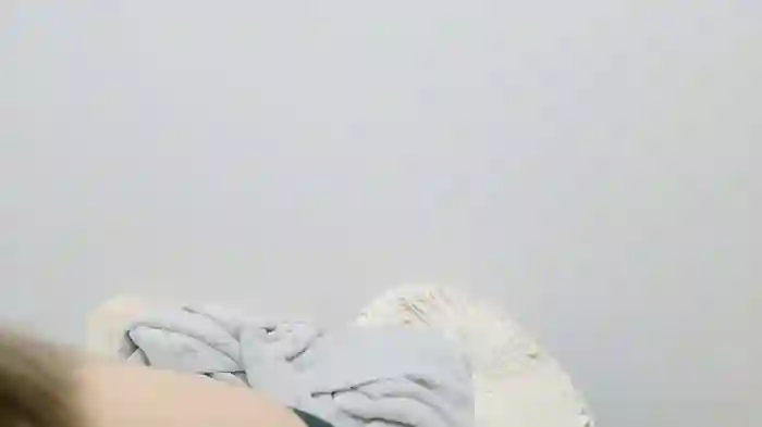 Hina2212