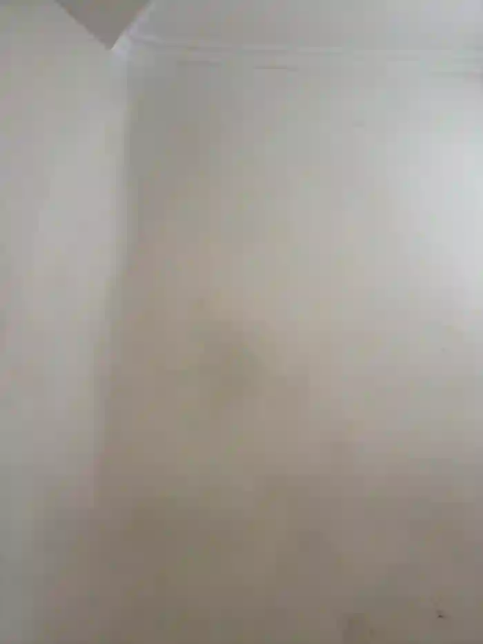 mint_melissaaa