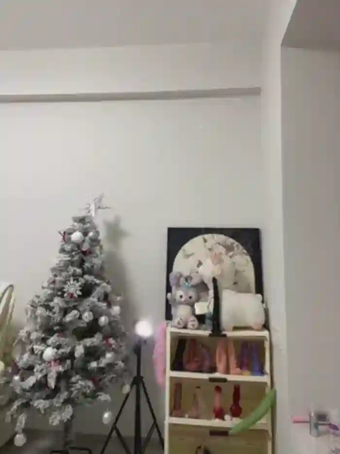 xyebobs