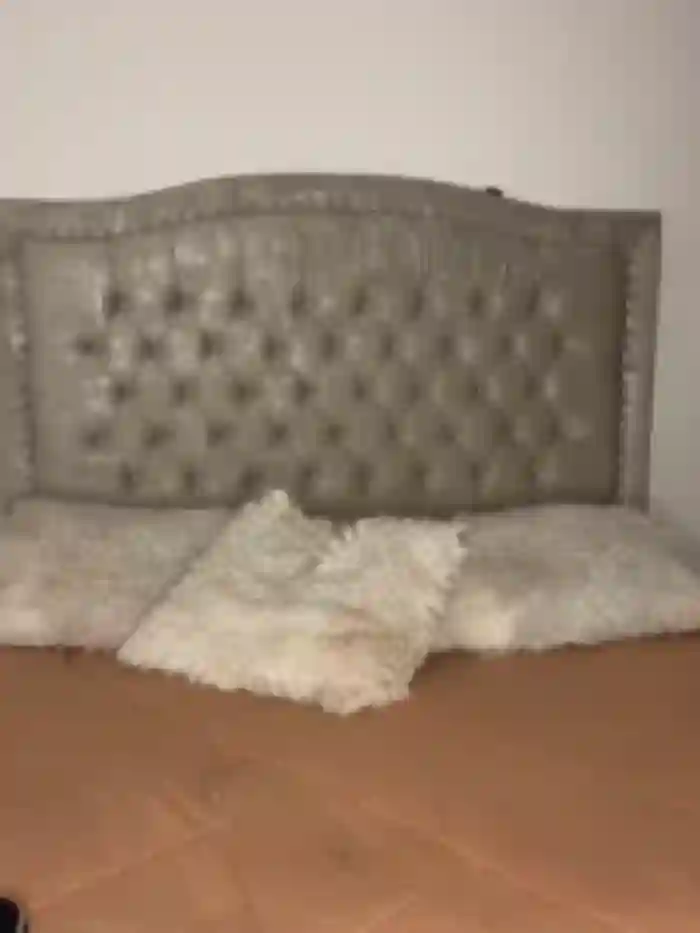 MollySanders___