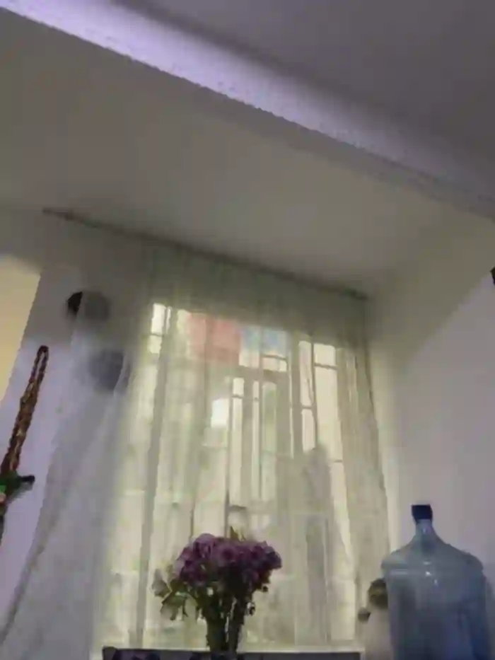 charlotte_stevenss_