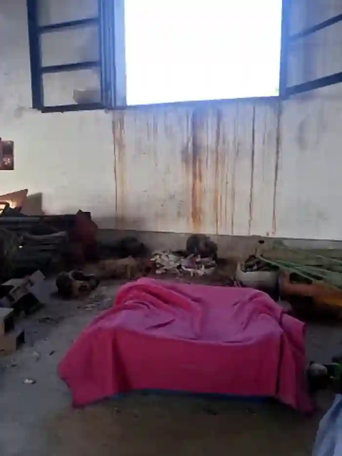 Alice_InWonderlust2025