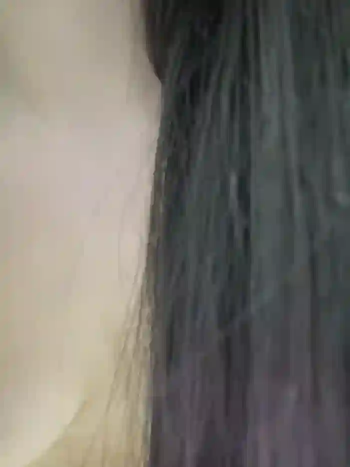 xyebobs
