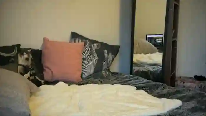 SwingWingWomanSweden