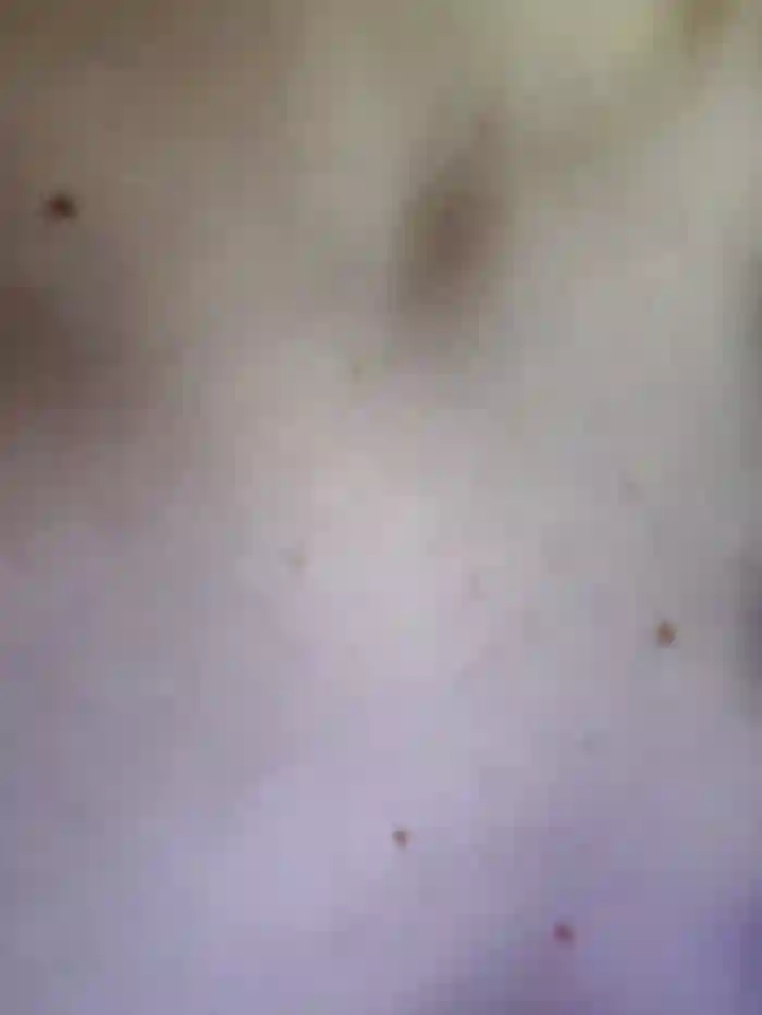 NicoleCut