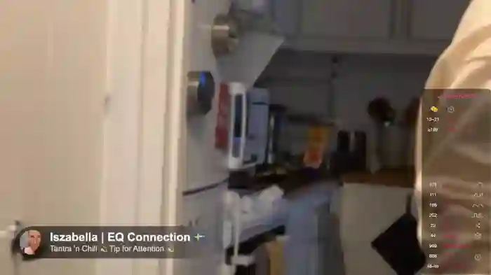 SwingWingWomanSweden