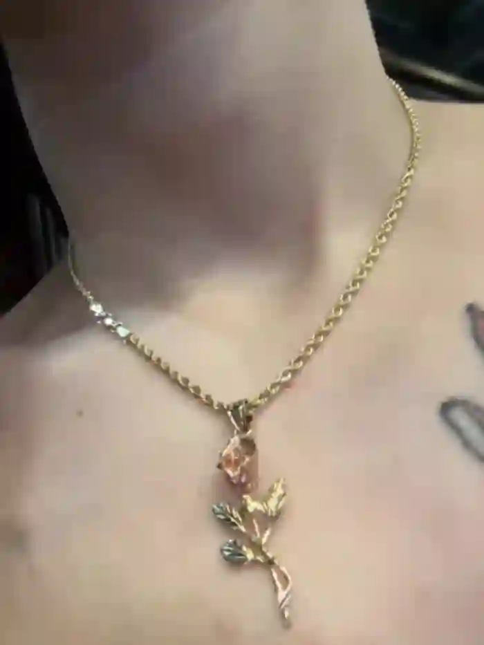 foxy_ana13