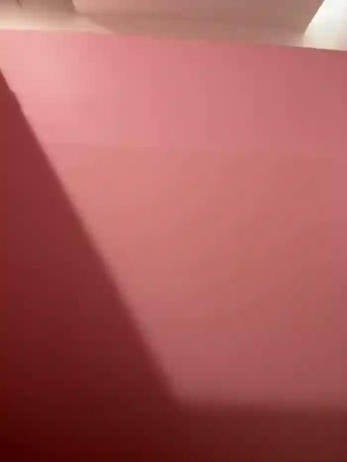 melissa_grr