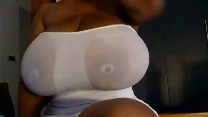katt008