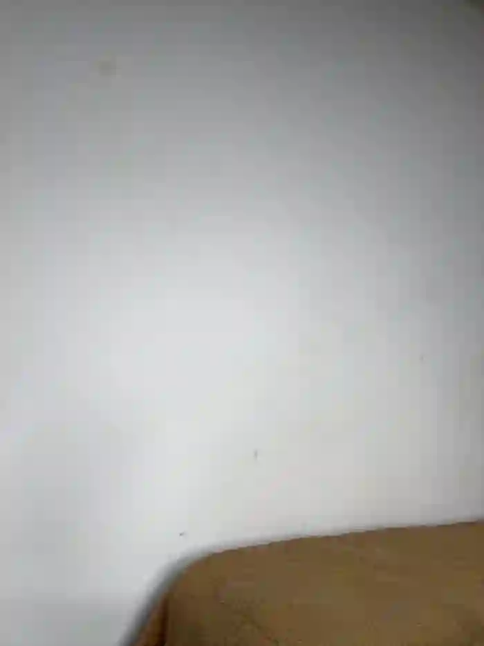 zoe_storm