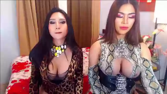 BrendieLuigieCosicoDuos