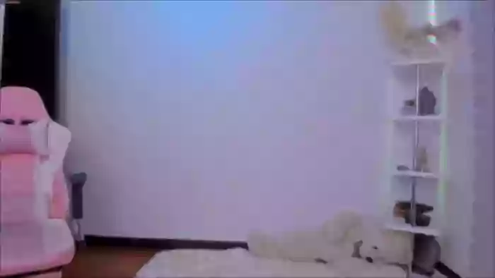 KittyFeet