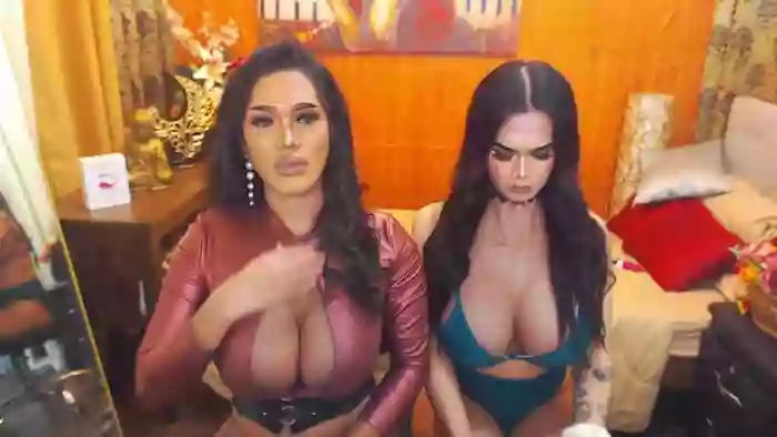 AllisonDeborahTransDuos
