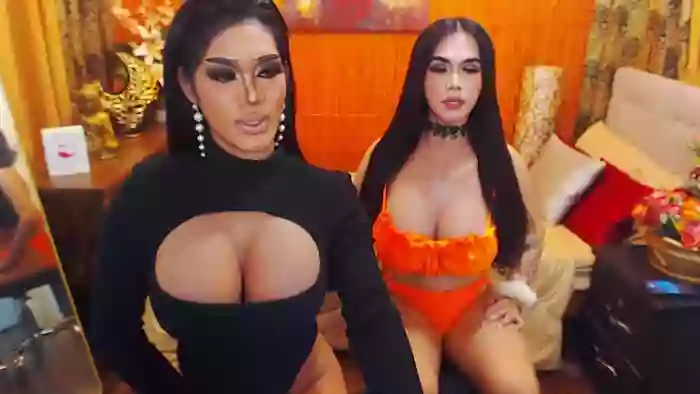 AllisonDeborahTransDuos