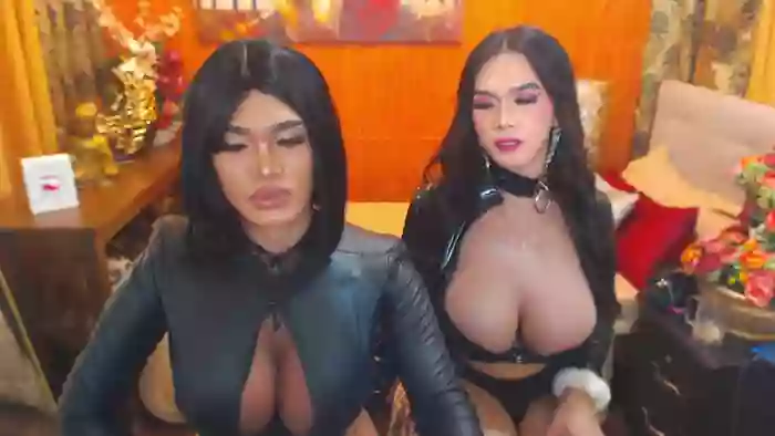 AllisonDeborahTransDuos