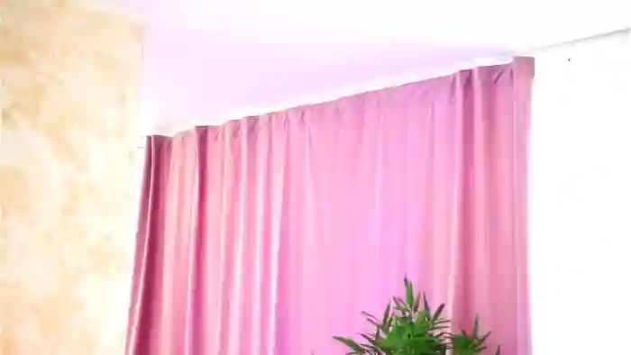 Nicolle_Blake