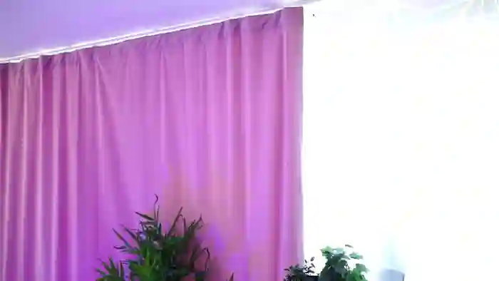 Nicolle_Blake