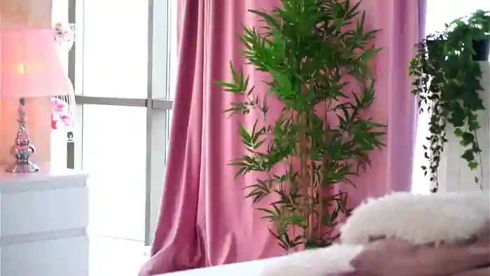 Nicolle_Blake