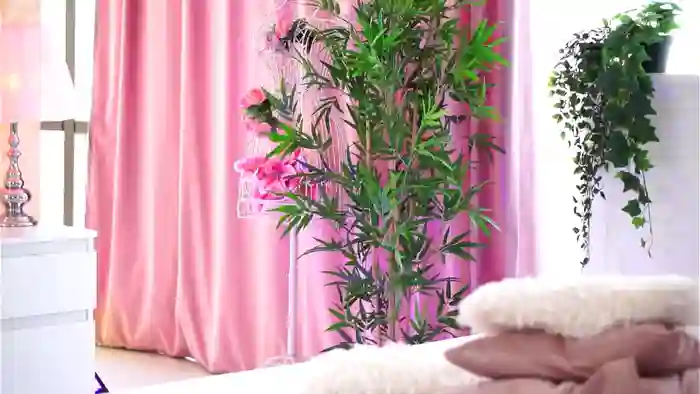 Nicolle_Blake